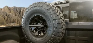 AEV VERTICAL TIRE MOUNT FOR GLADIATOR, HD RAM AND COLORADO